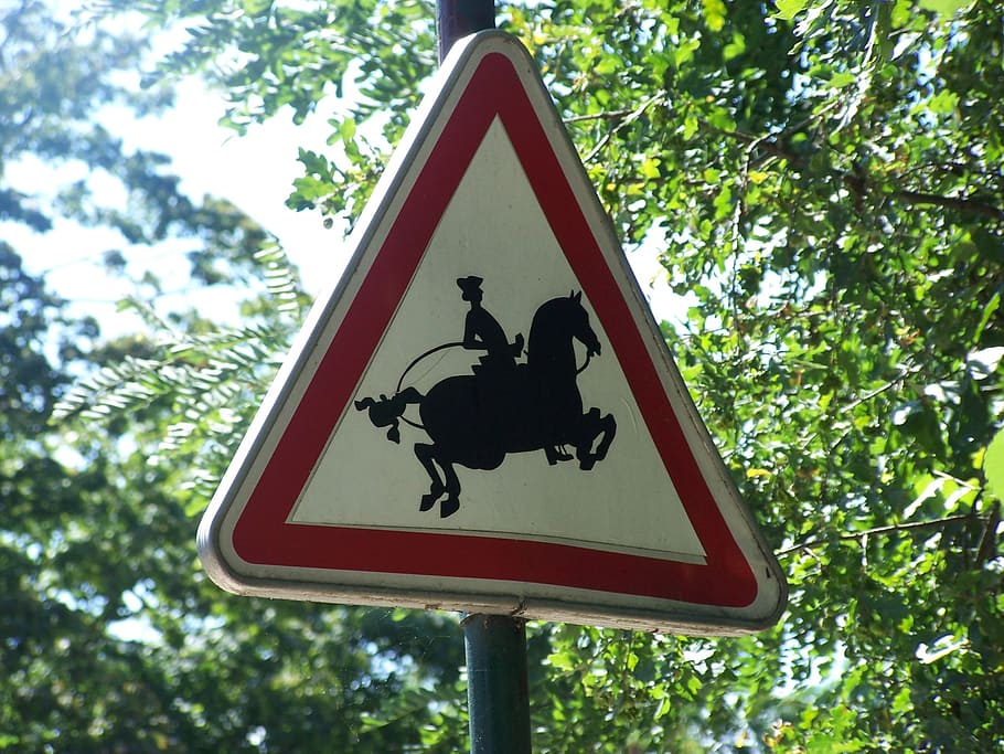panel, horse, equestrian, signalling, tree, representation HD wallpaper