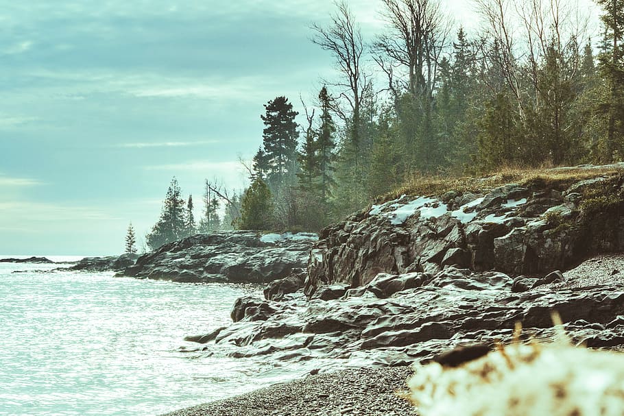 water splashing on rocks during daytime, seacliff near forest during daytime HD wallpaper