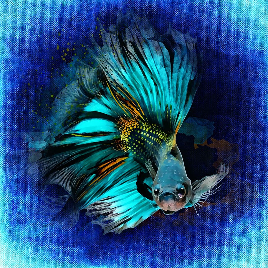 blue-and-black koi fish illustration, underwater, aquarium, swim