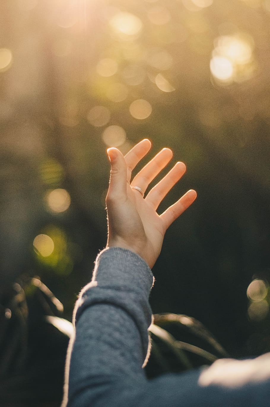 shallow focus photography of person raising hand, person showing hand