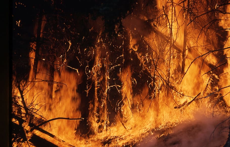 brown and black digital wallpaper, wildfire, flames, hot, burning HD wallpaper