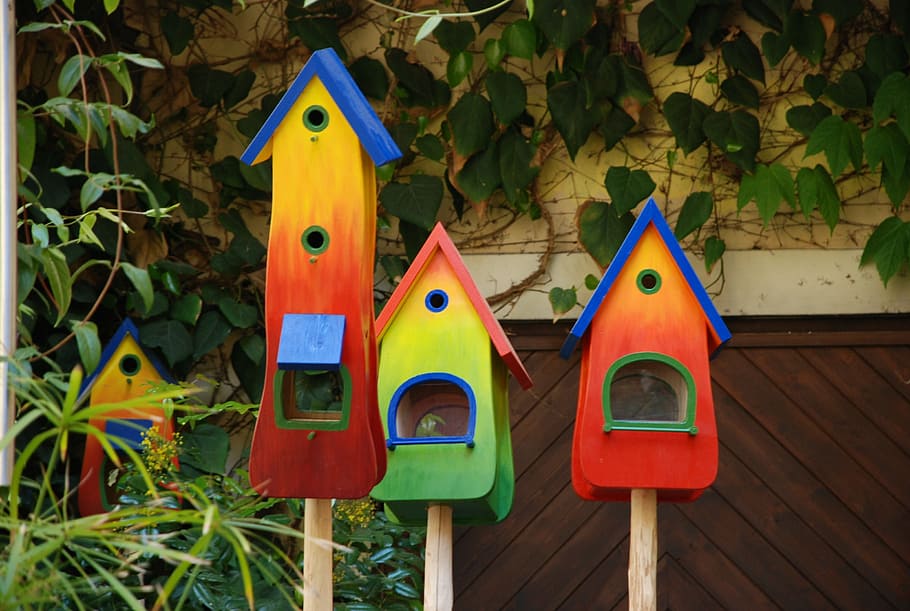 colorful, bird feeder, nesting box, colored, birdhouse, wood - Material, HD wallpaper