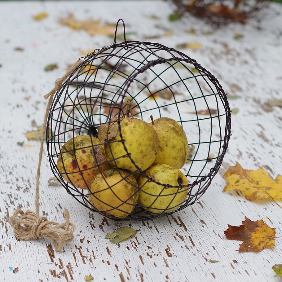 apples, fall, basket, wire basket, autumn, country, rustic HD wallpaper