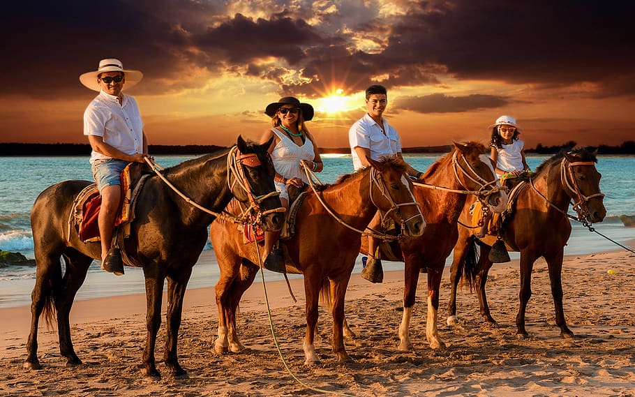 cavalry, sitting position, mammal, domestic animals, land, livestock HD wallpaper