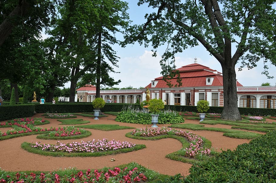 summer palace, peter hoff, st petersburg, plant, tree, architecture, HD wallpaper