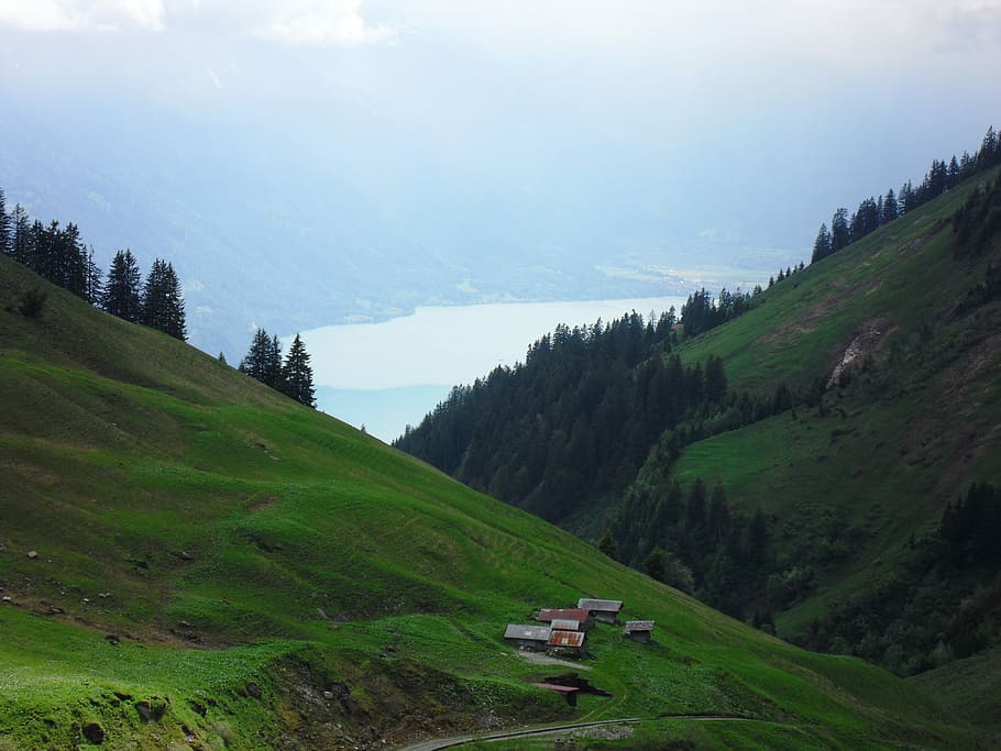 Alm, Landscape, Alpine, Mountains, meadow, nature, no people HD wallpaper