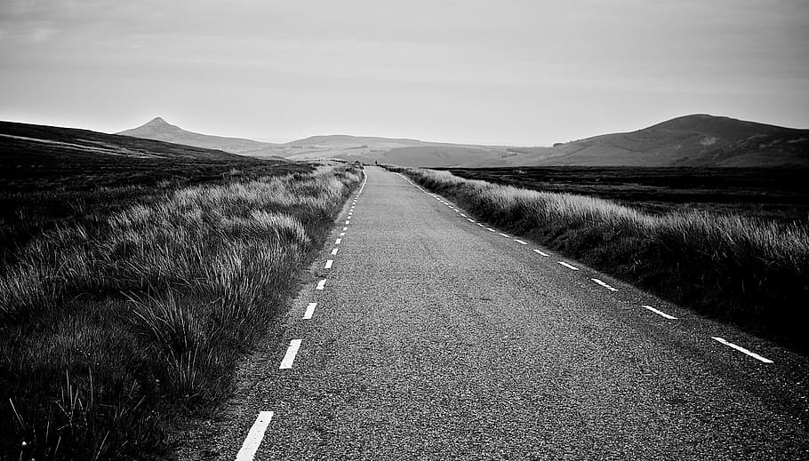 grayscale photography of empty road, rural, country, fields HD wallpaper