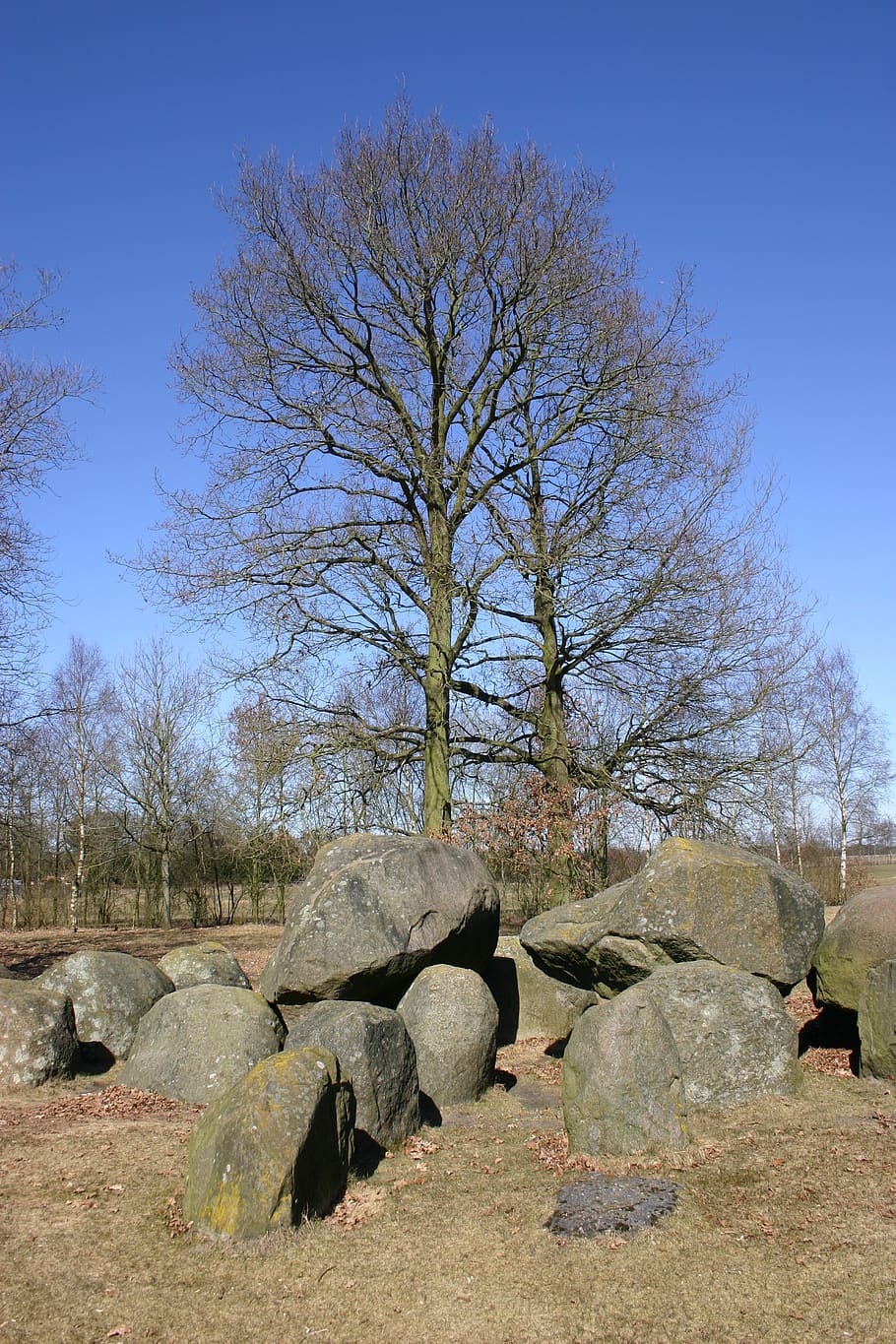 dolmen, tree, sky, rock, bare tree, nature, no people, solid HD wallpaper