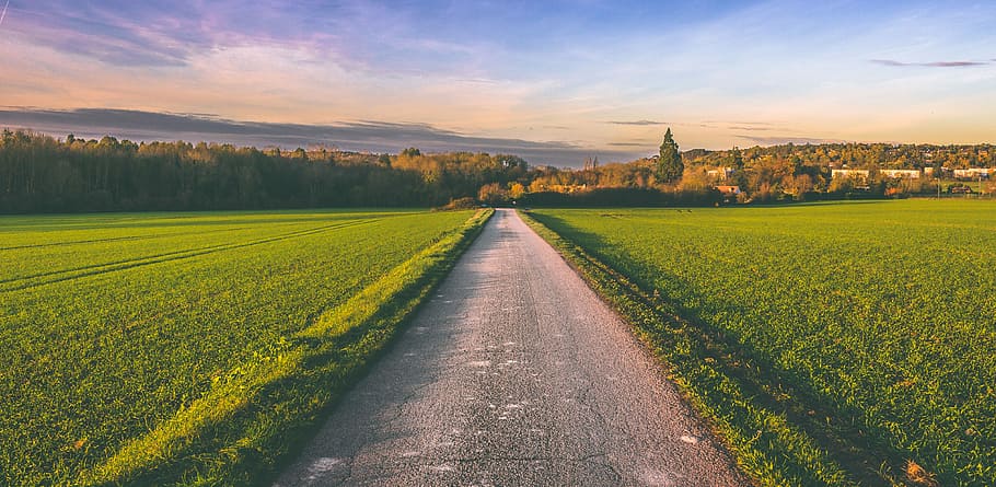 gray concrete road between grass fields, track, landscape, sky HD wallpaper