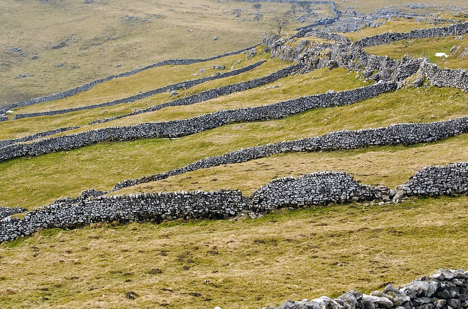 Landscape, Fences, Spring, Summer, england, north, yorkshire HD wallpaper