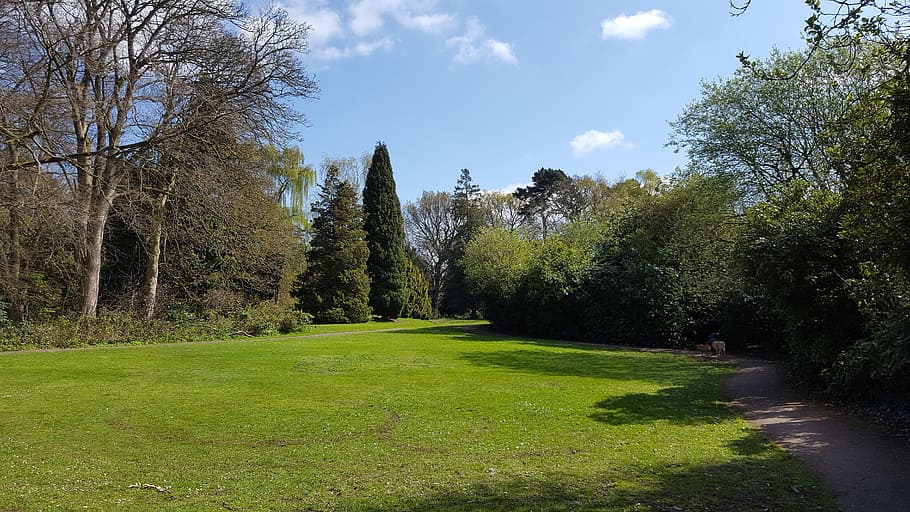park, nature, trees, spring, green, landscapes, natural park HD wallpaper