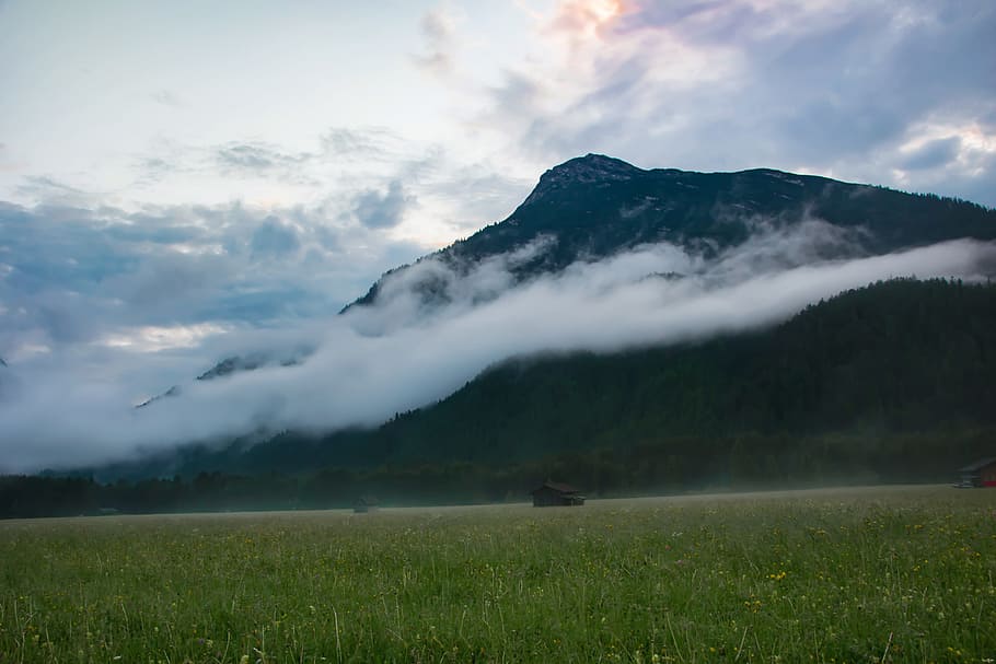 fog, clouds, alps, sky, austria, beauty in nature, cloud - sky HD wallpaper