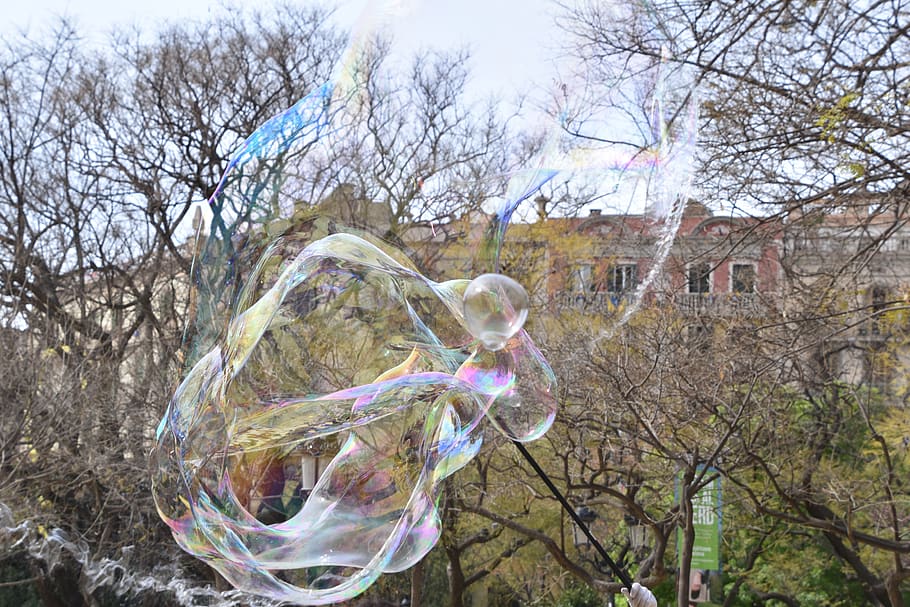 soap bubble, lightness, outside, tree, plant, bare tree, nature HD wallpaper