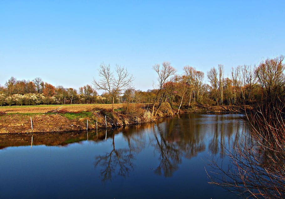 water, pond, river, spring, nature, landscape, view, reflection HD wallpaper