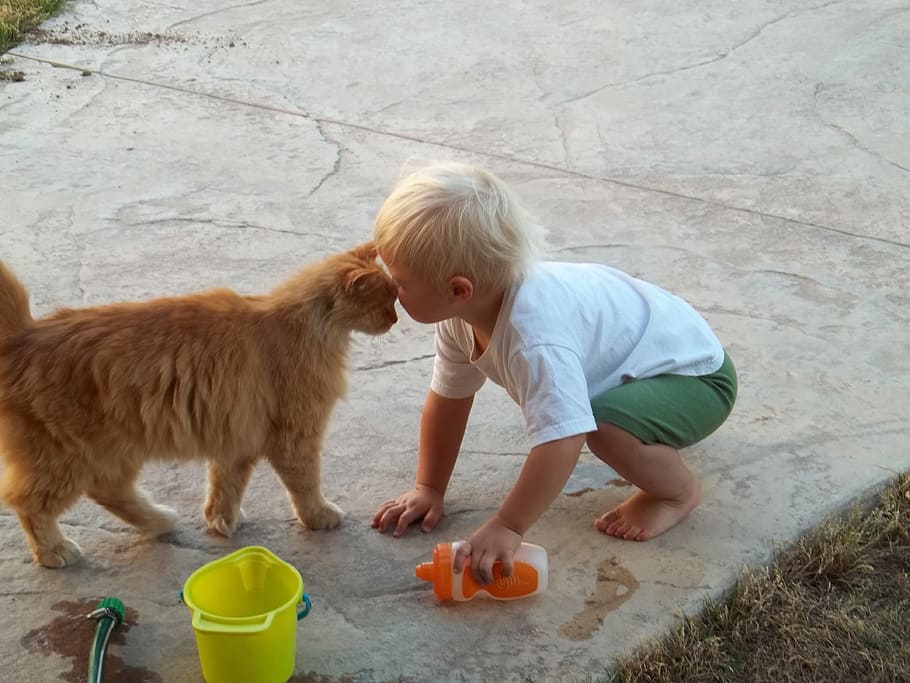 toddler and orange cat standing side-by-side, kid, boy, happy HD wallpaper