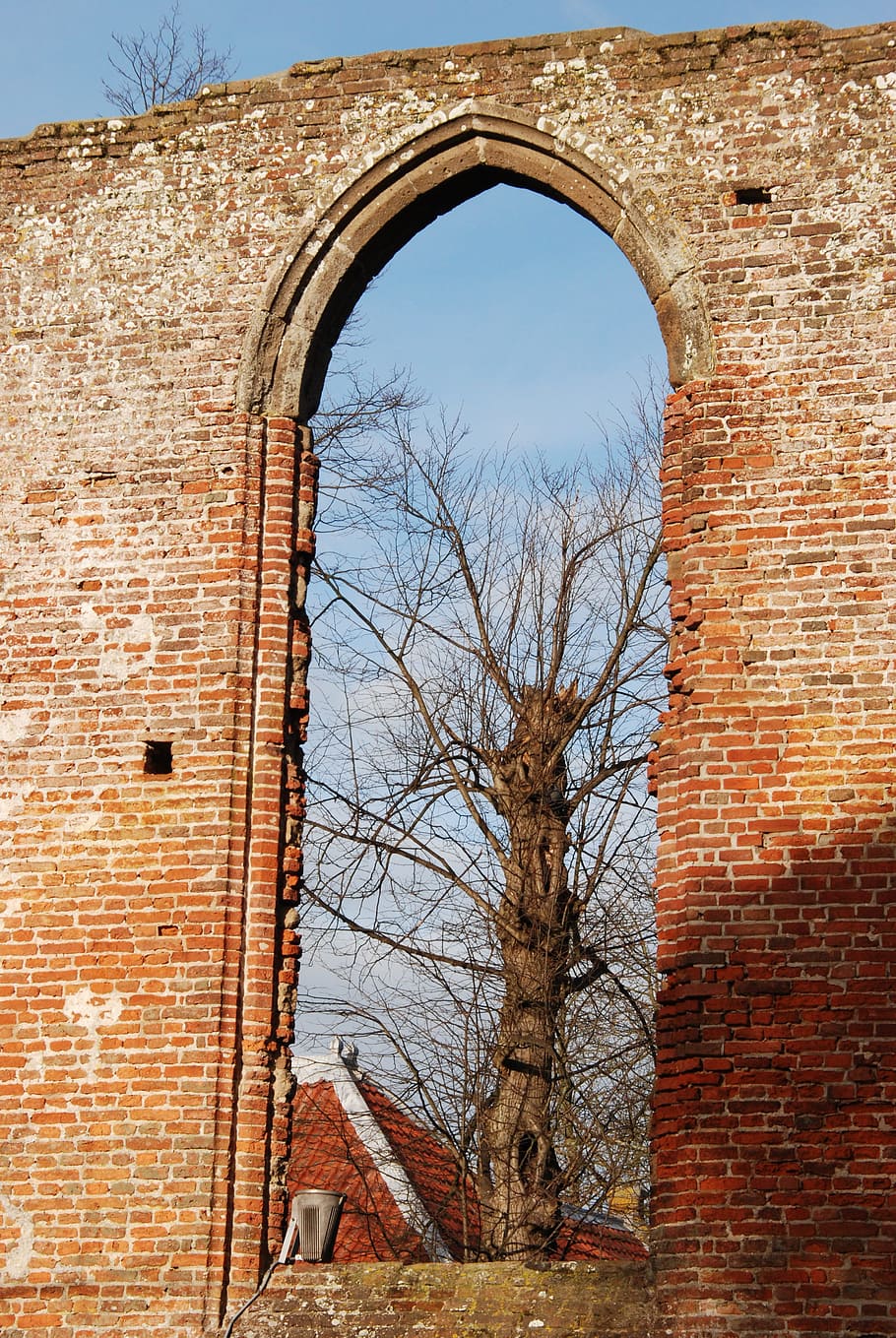 Wall, Stones, Old, Window, Vista, Tree, history, church, ruin, HD wallpaper