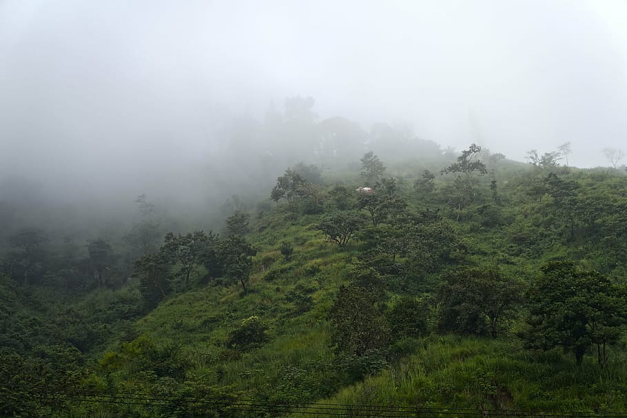 el salvador, mountains, hill, sierra, fog, air, green, landscape, HD wallpaper