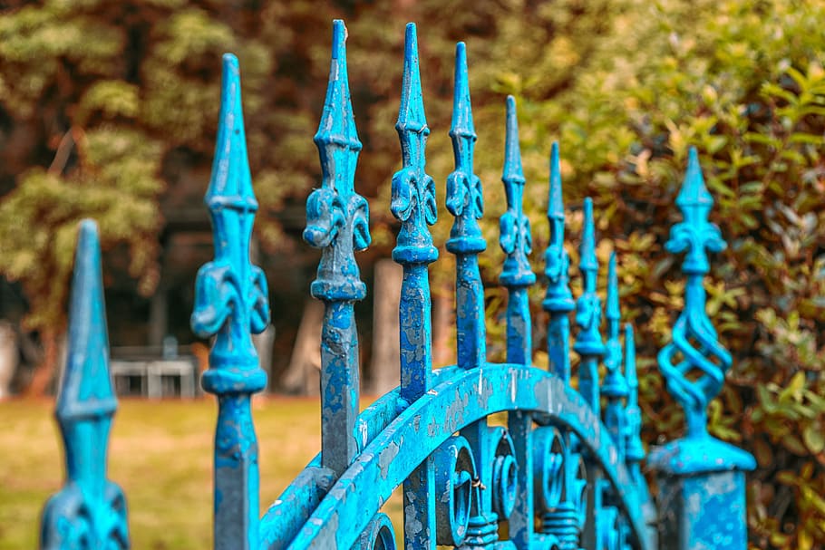 shallow focus of blue wrought iron gate, fence, goal, input HD wallpaper
