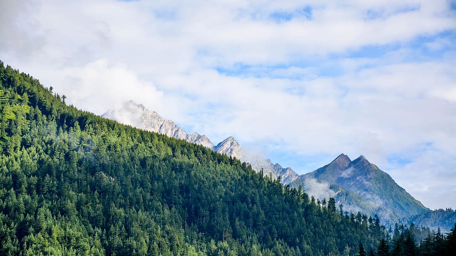 forest trees on side of a mountain under cloudy sky, mountains under cloudy blue sky during daytime HD wallpaper
