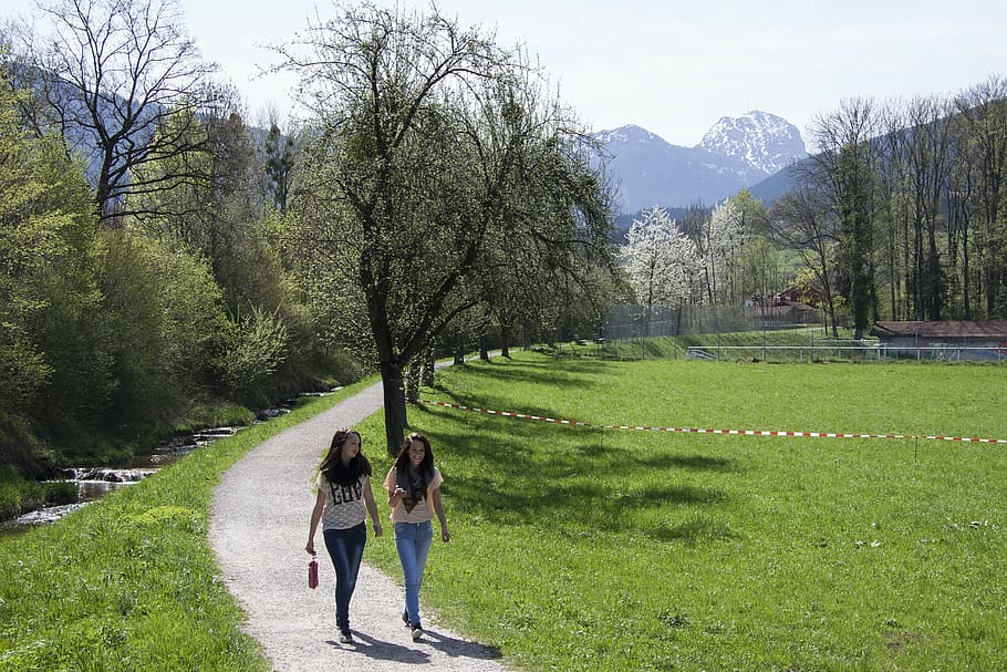 spring, sunshine, may, mountains, wendelstein, bach, trees HD wallpaper