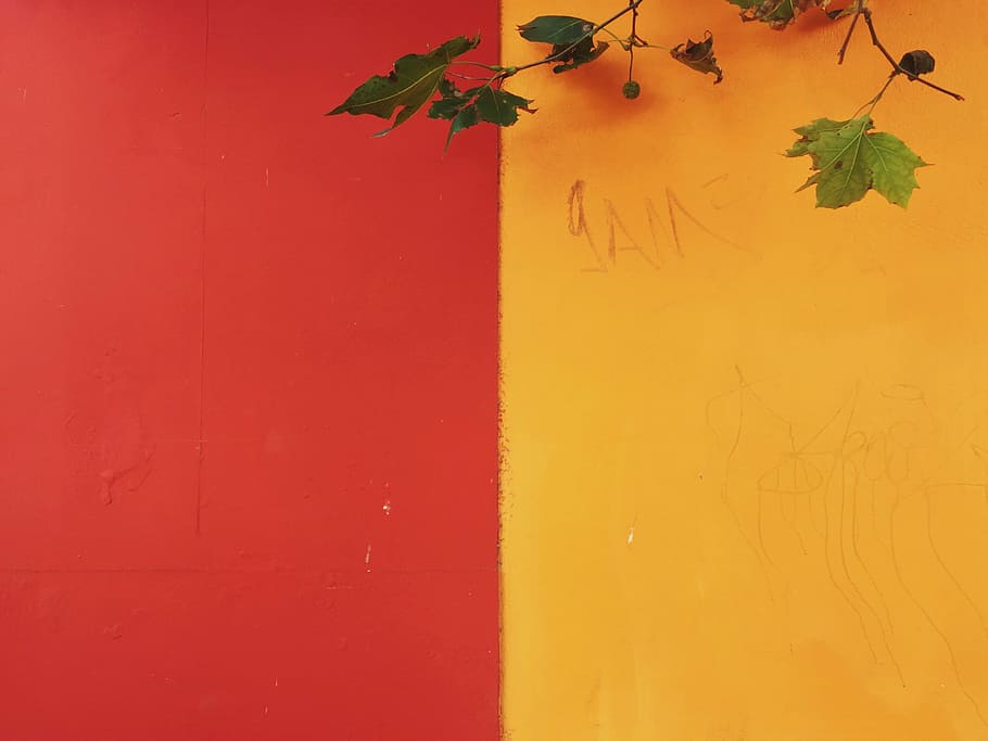 yellow and red painted wall, green leaves on wall, halfs, graffiti HD wallpaper