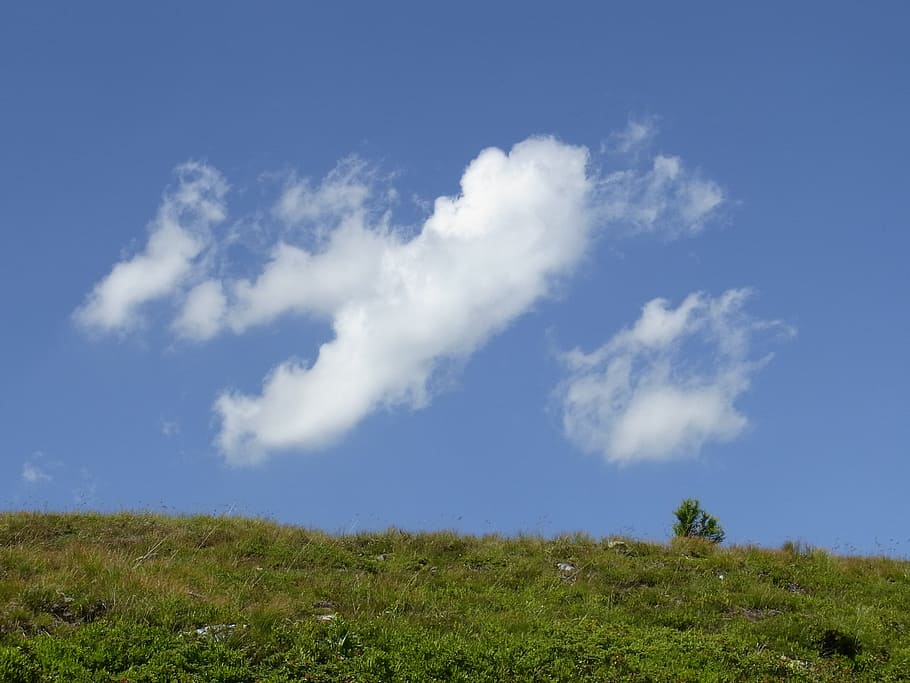 Sky, Cloud, Fantasy, Meadow, Green, Tree, blue, flowers, white HD wallpaper