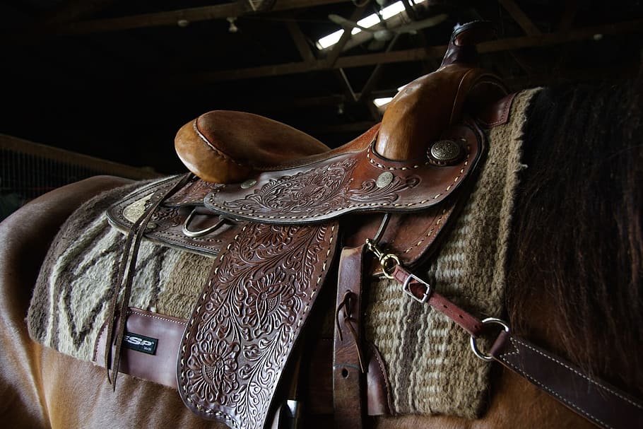 brown leather horse saddle on the back of the horse, western