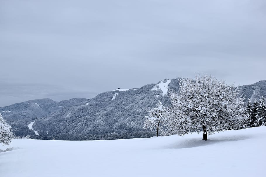 snow, winter, cold, mountain, nature, landscape, snowy, scenic HD wallpaper