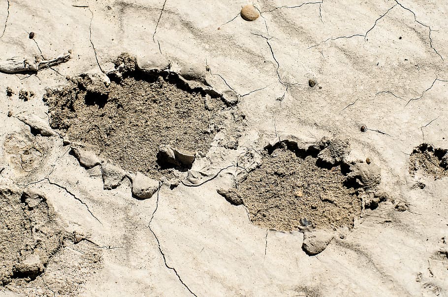 footprint in mud, muddy footprint, dried mud, tracks, shoe print, HD wallpaper