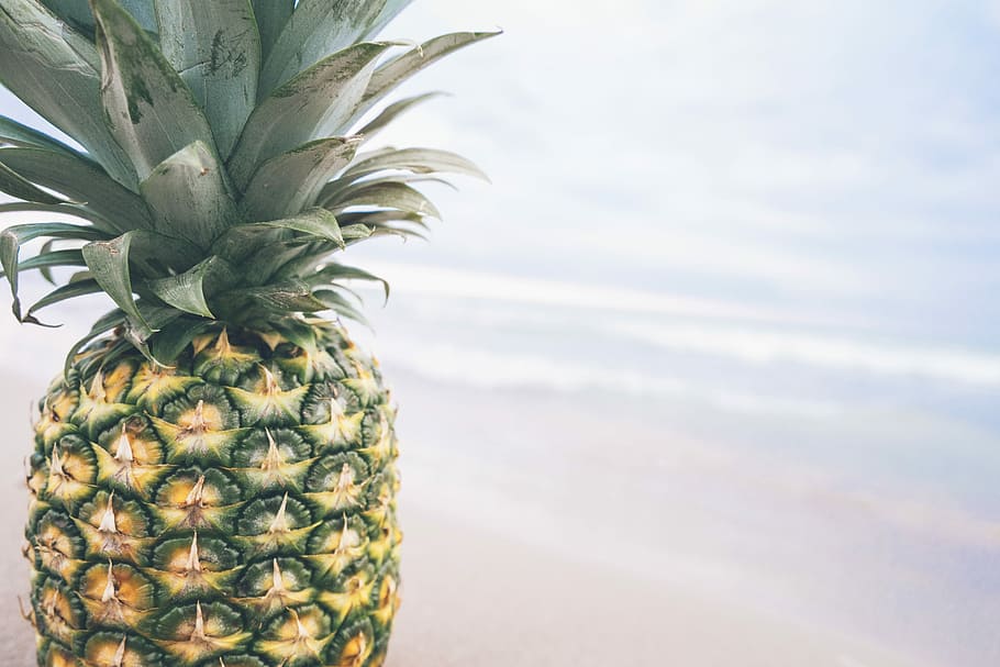pineapple with body of water background, pineapple facing the body of water HD wallpaper