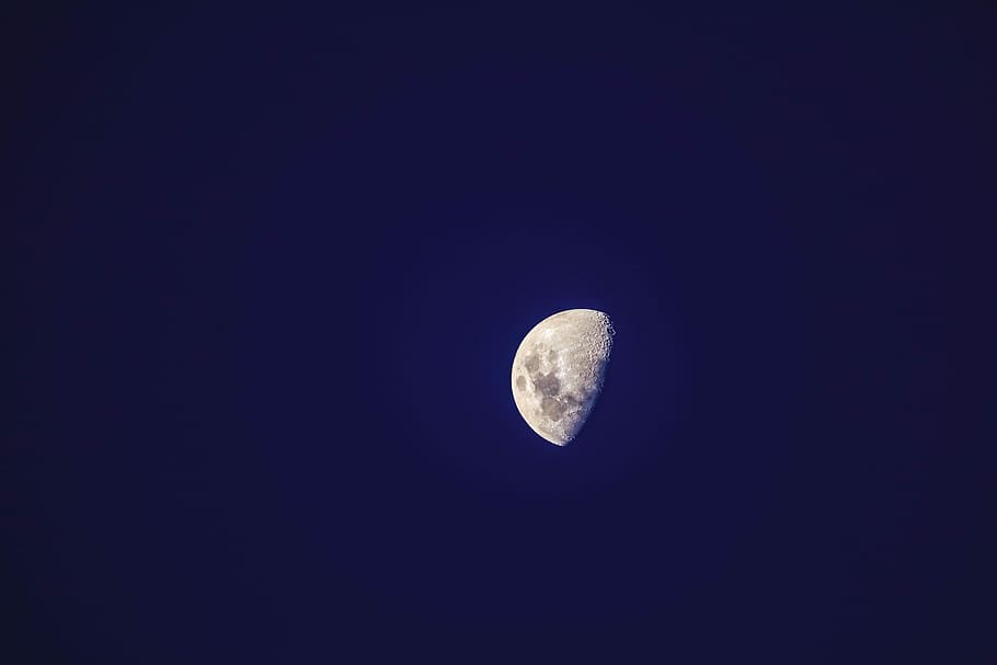 photo of half moon, moon view, night sky, tele, astro, space HD wallpaper