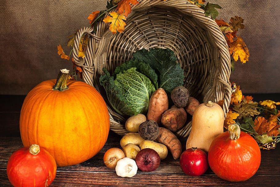 Pumpkins and Autumn vegetables, food/Drink, fall, thanksgiving, HD wallpaper