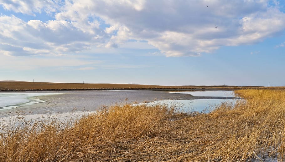Clouds, Reeds, Sky, Lake, Yellow, Water, grass, nature, scenics HD wallpaper