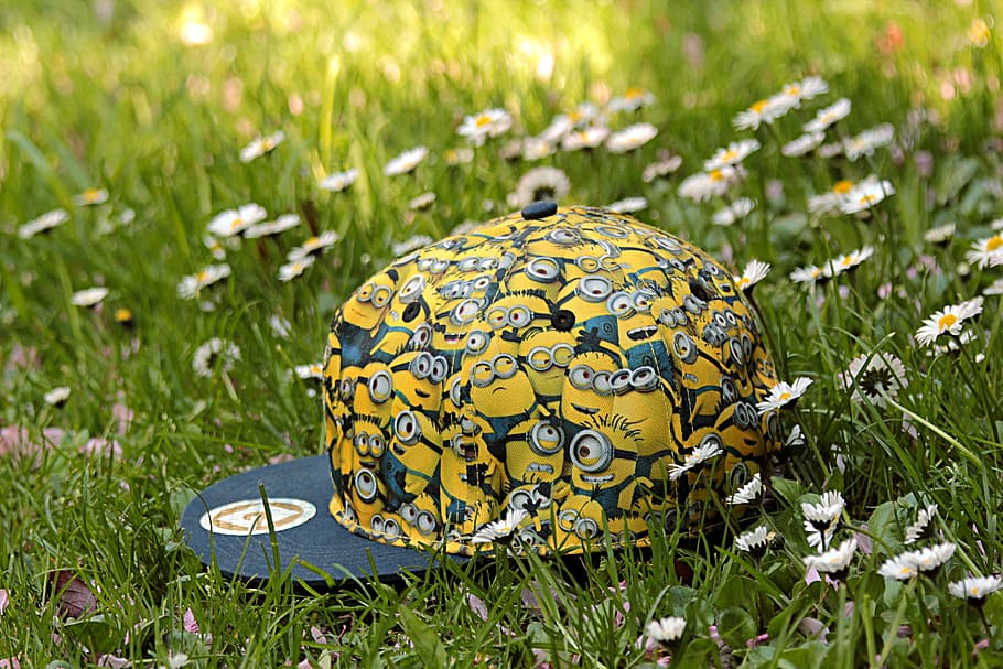 cap, goggles theme, minions, cool, grass, animal wildlife, plant, HD wallpaper