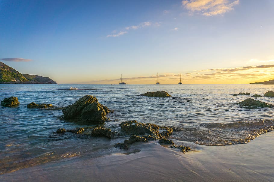 mallorca, beach, water, sky, sea, booked, holiday, nature, summer HD wallpaper