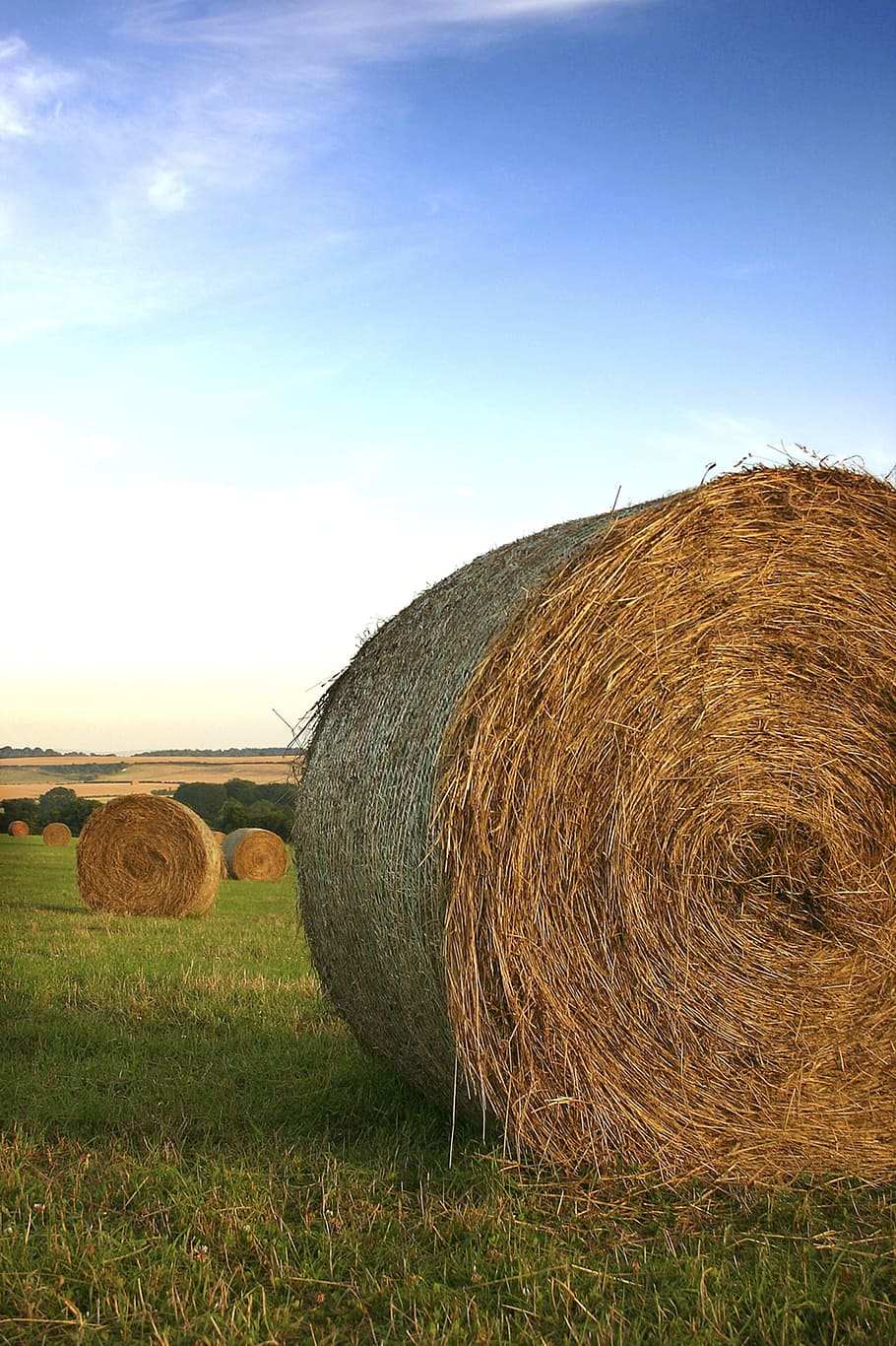 hay, balls, field, grass, landscape, countryside, outside, scene HD wallpaper