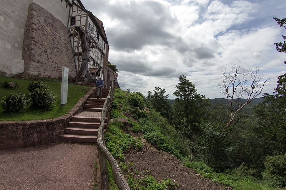 castle wartburg, thuringia germany, thuringian forest, plant, HD wallpaper