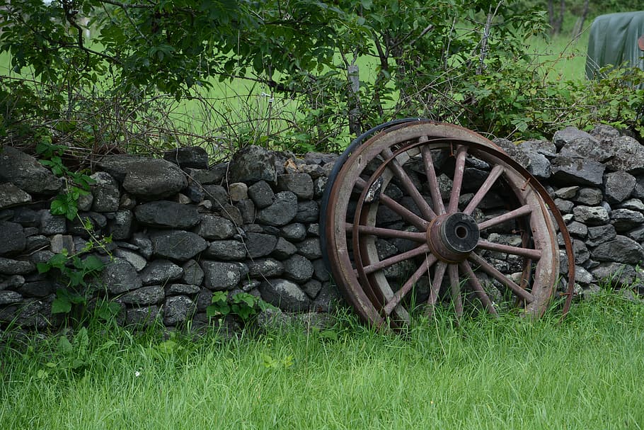 Wheel, Charette, Field, grass, outdoors, day, green color, plant HD wallpaper