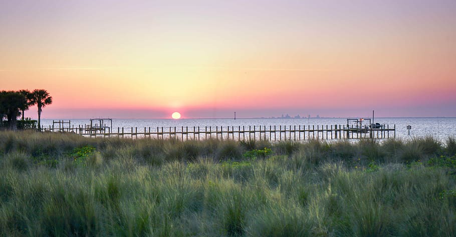 green grass field, sunset, dock, florida, tropical, sky, palm HD wallpaper