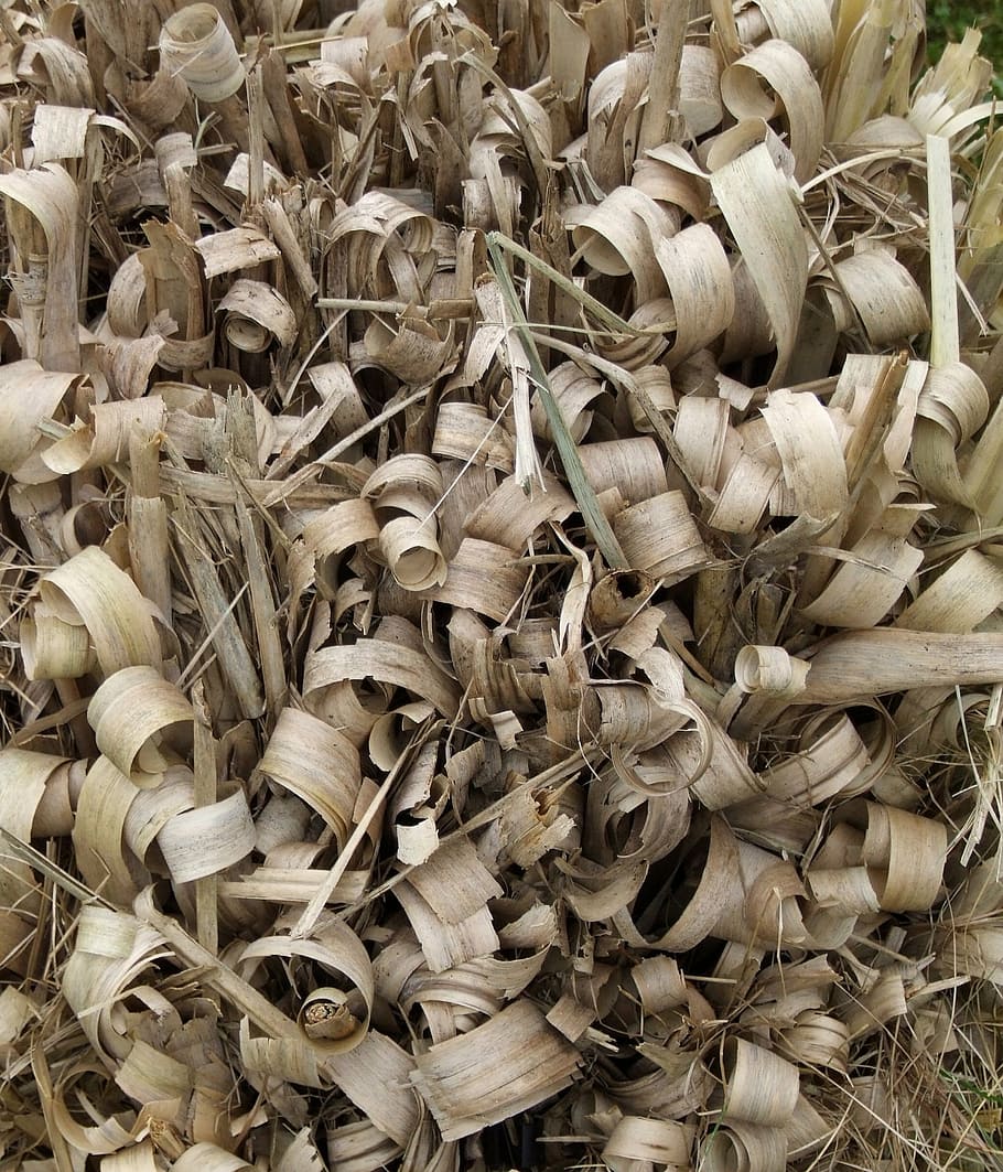 texture, grass, stalks, dry, background, tinker, full frame HD wallpaper