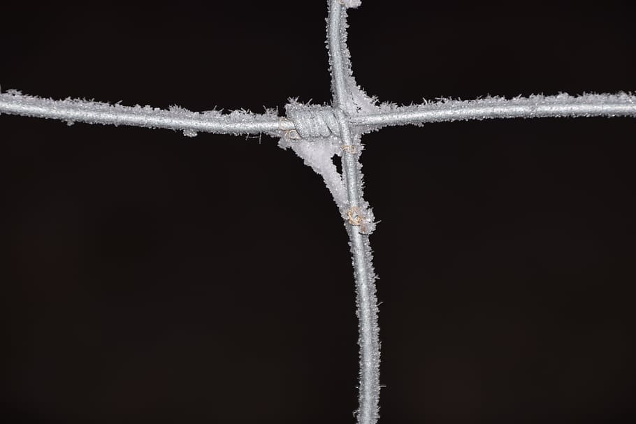 Fence, Close, Metal, Limit, Wire, wire fence, winter, iced HD wallpaper