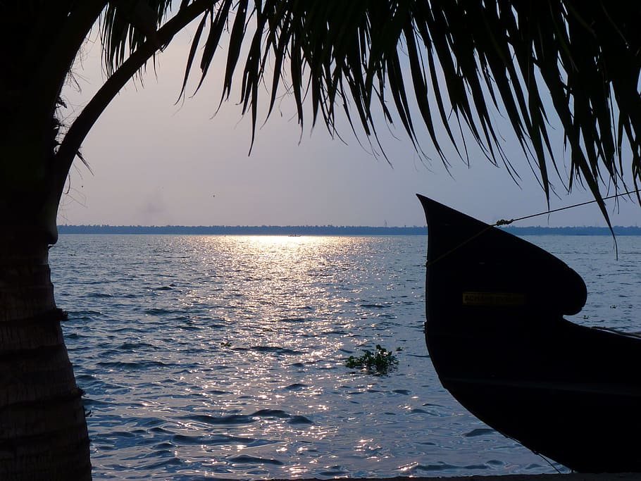 Sunset, Water, Boot, Palm, Backwaters, india, sea, nautical Vessel HD wallpaper