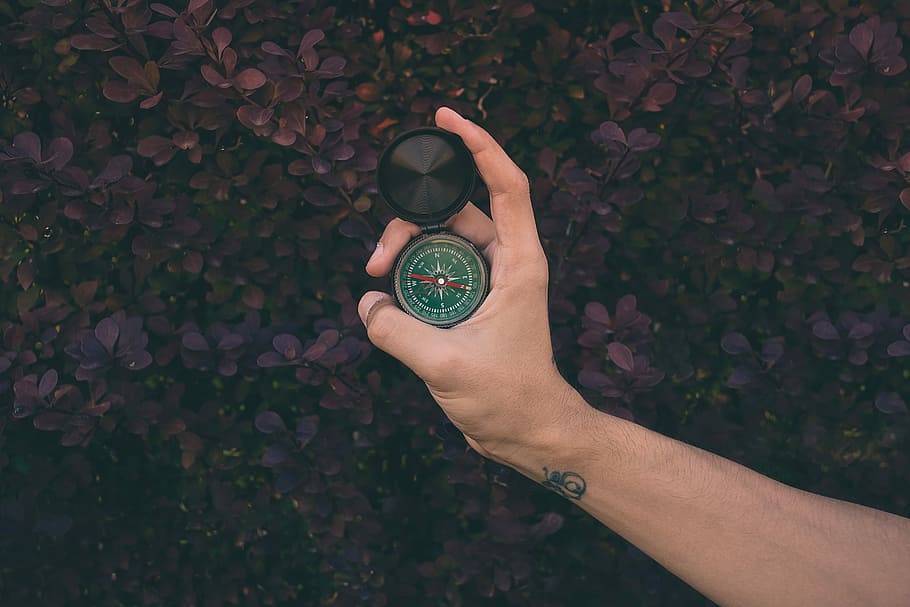 Go confidently in the direction of your dream., person holding compass outsde HD wallpaper