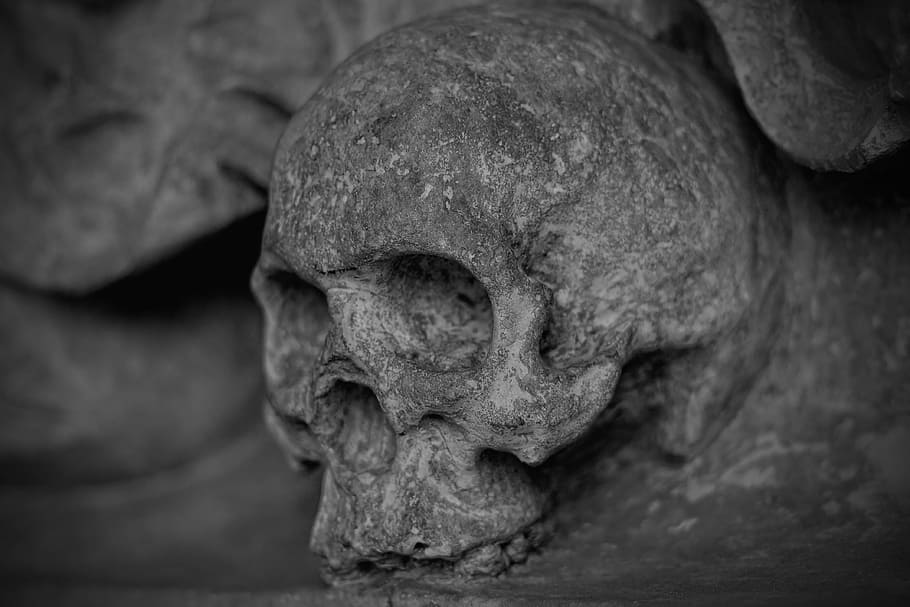 gray skull embossed decor, black, skull and crossbones, dead HD wallpaper
