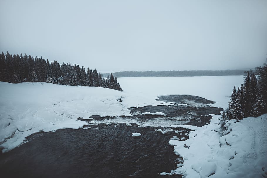 landscape photography of trees covered by snow, river covered with snow HD wallpaper