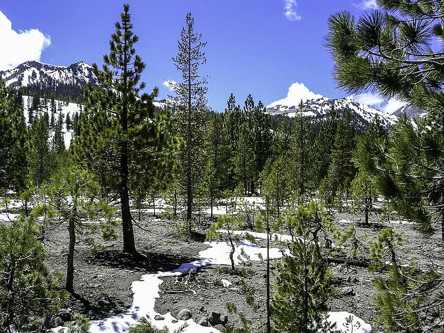 The Devstated Area of Lassen Volcanic National Park, California, HD wallpaper