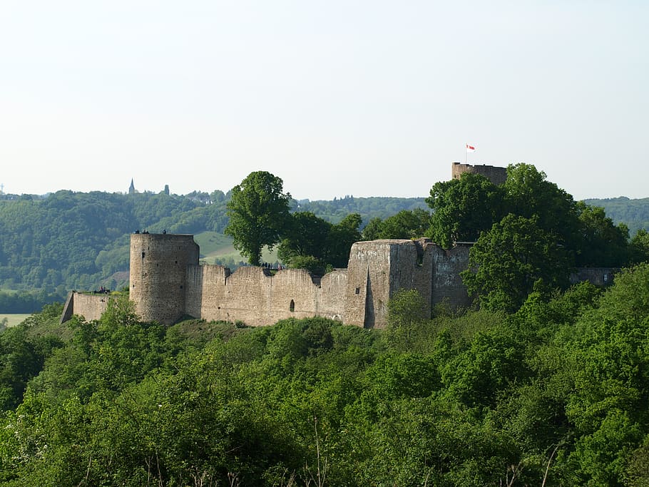 castle, city blankenberg, historically, tree, plant, built structure HD wallpaper