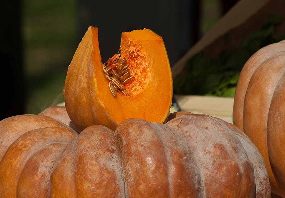 vegetables, pumpkin, squash, seed, food and drink, freshness HD wallpaper