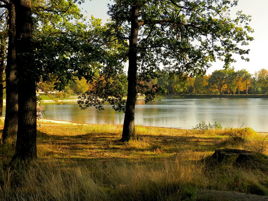 person showing lake, Landscape, Trees, Grass, Bank, nature HD wallpaper