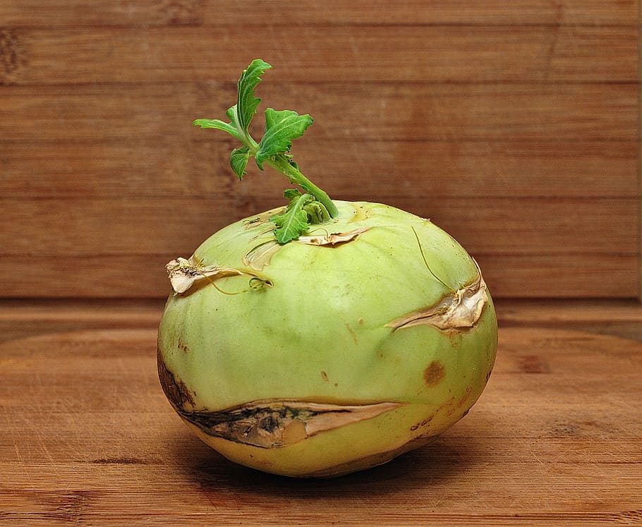 turnip, a vegetable, closeup, eating, health, healthy food HD wallpaper